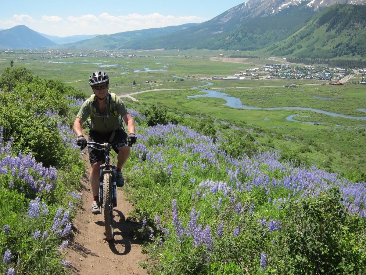 Purple Mountain Bed & Breakfast & Spa Crested Butte Buitenkant foto